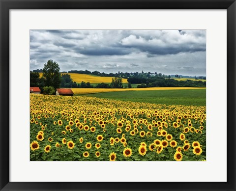 Framed Pastoral Countryside IV Print