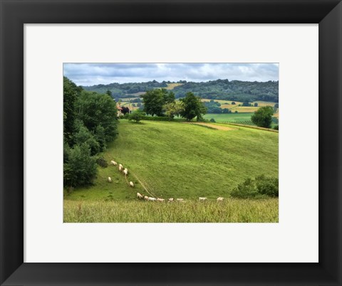 Framed Pastoral Countryside V Print