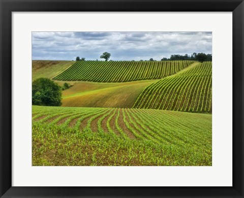 Framed Pastoral Countryside VI Print