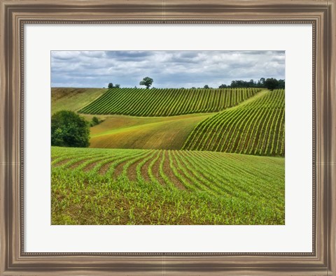 Framed Pastoral Countryside VI Print