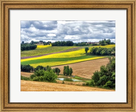 Framed Pastoral Countryside VIII Print