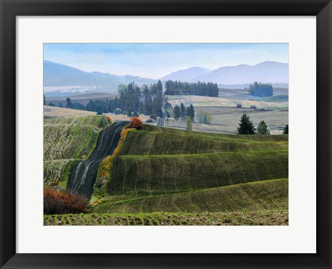 Framed Pastoral Countryside XIII Print