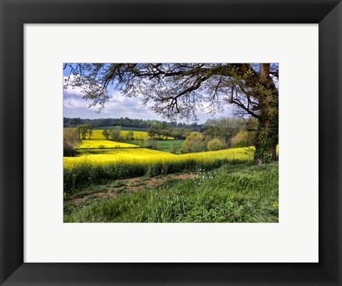 Framed Pastoral Countryside XIV Print