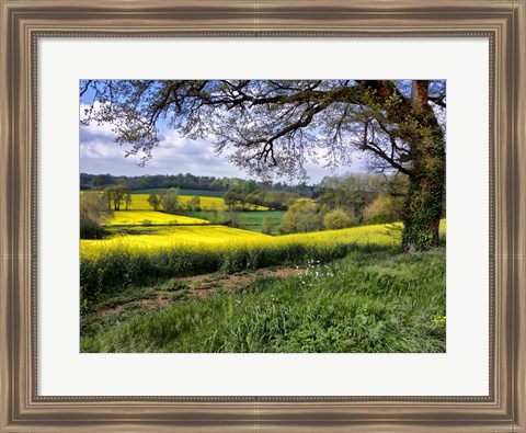 Framed Pastoral Countryside XIV Print