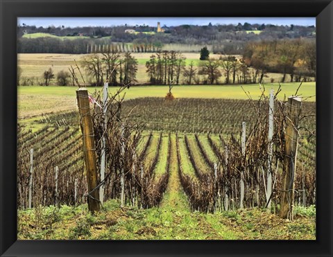 Framed Pastoral Countryside XVI Print