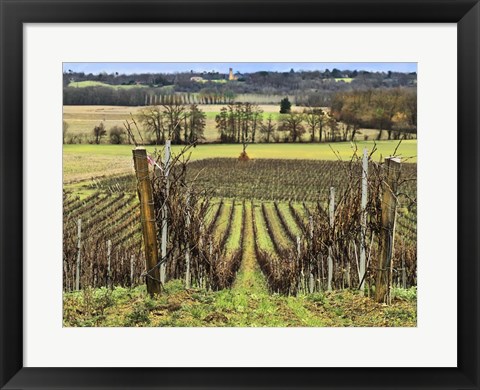 Framed Pastoral Countryside XVI Print