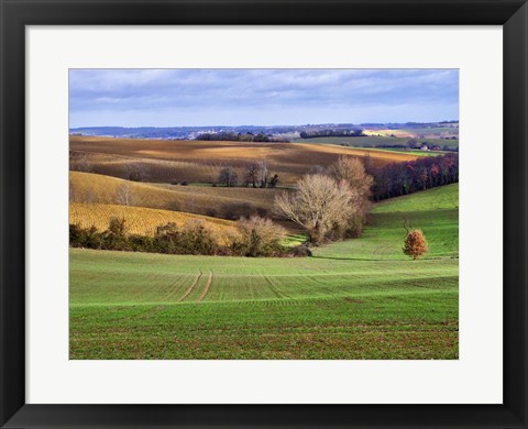 Framed Pastoral Countryside XVII Print