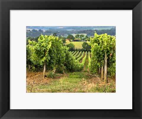 Framed Pastoral Countryside XIX Print