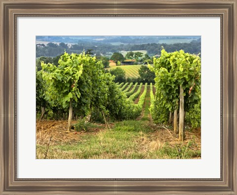 Framed Pastoral Countryside XIX Print