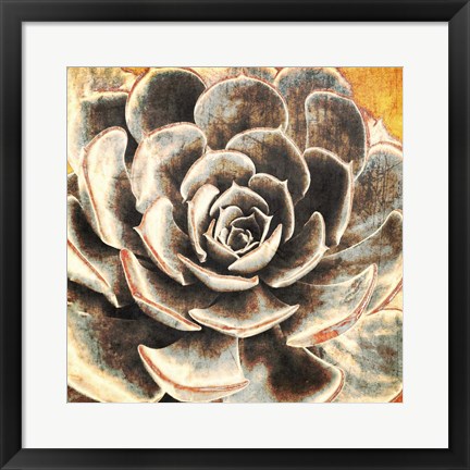 Framed Echeveria Print