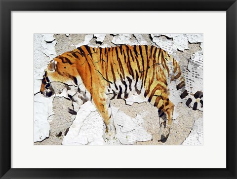 Framed Siberian Tiger V Print