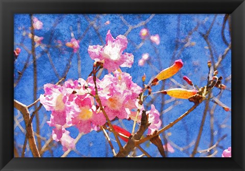 Framed Elegant Blossom II Print