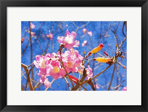 Framed Elegant Blossom II Print