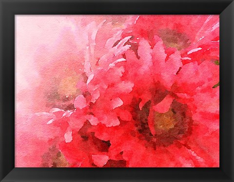 Framed Red Gerbera Print