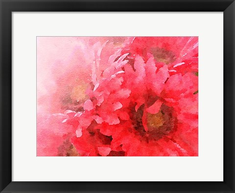 Framed Red Gerbera Print