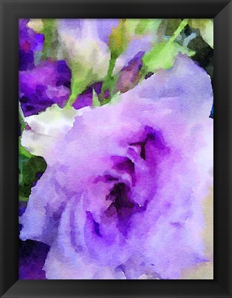 Framed Purple Flower 1 Print