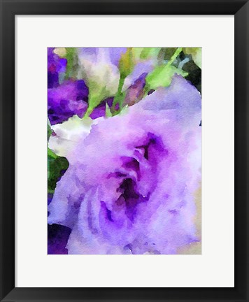 Framed Purple Flower 1 Print