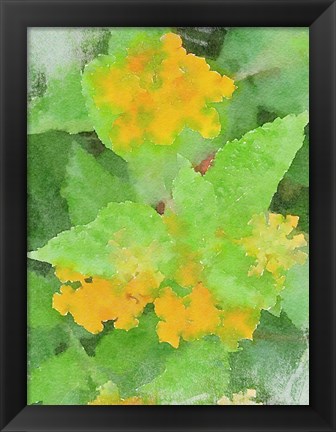 Framed Yellow Flowers 1 Print