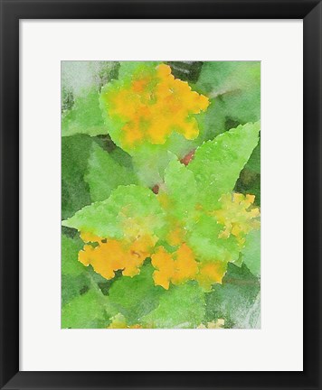 Framed Yellow Flowers 1 Print