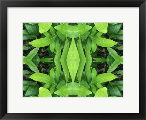 Framed Natural Pattern 46 Print