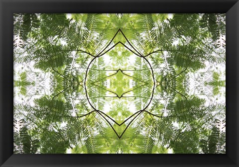 Framed Natural Pattern 60 Print