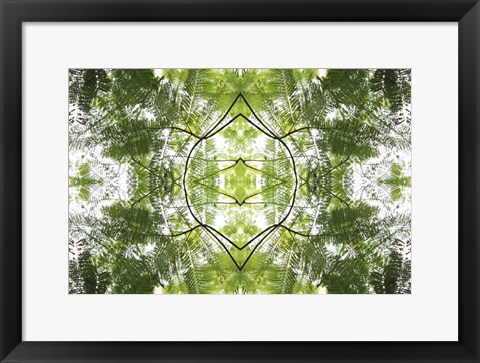 Framed Natural Pattern 60 Print