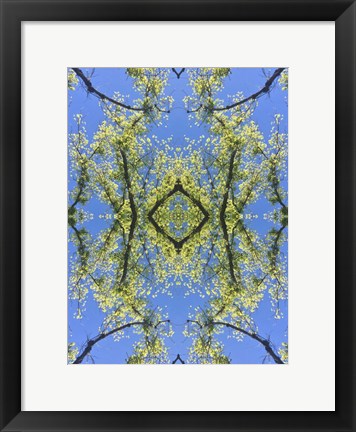 Framed Natural Pattern 74 Print