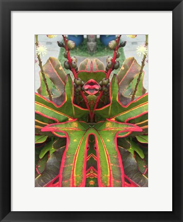 Framed Natural Pattern 76 Print