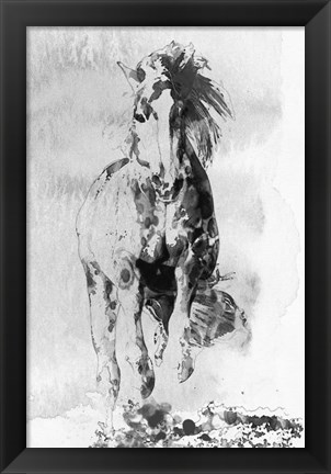 Framed Wild Running Horse 3 Print