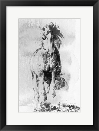 Framed Wild Running Horse 3 Print