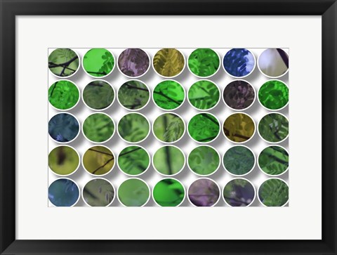 Framed Nature Geometric  26 Print