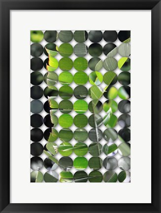 Framed Nature Geometric  27 Print