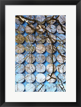 Framed Nature Geometric  28 Print