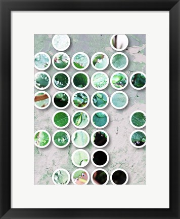 Framed Nature Geometric  35 Print