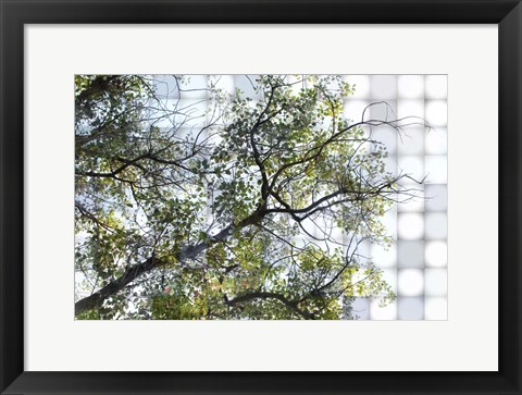 Framed Nature Geometric  36 Print