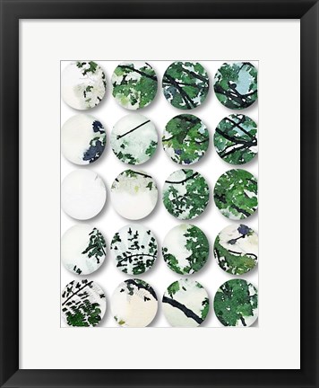 Framed Nature Geometric  37 Print