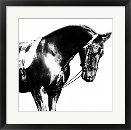 Framed Black Horse Print