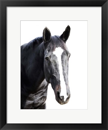 Framed Gray Horse Print