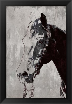 Framed Morgan Horse Print