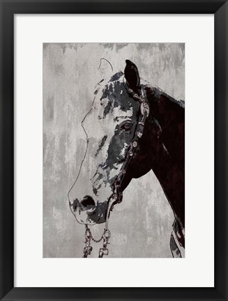 Framed Morgan Horse Print