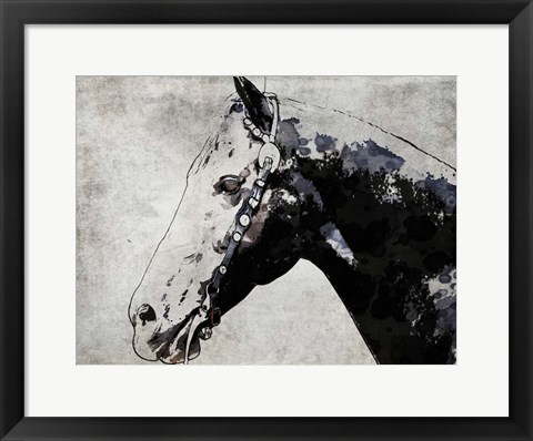 Framed Black Ghost Horse Print