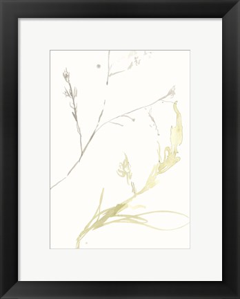 Framed Under Sea Forest IX Print