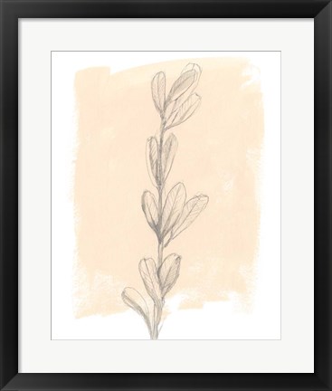 Framed Branch on Blush II Print