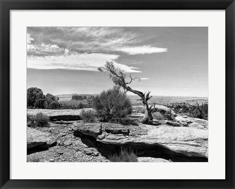 Framed Canyon Lands IV Print