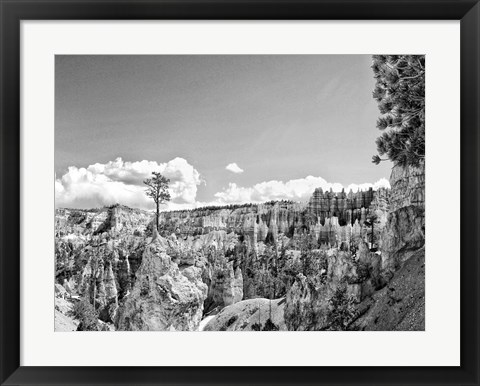 Framed Canyon Lands VI Print