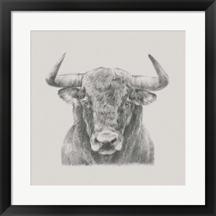 Framed Black &amp; White Bull Print