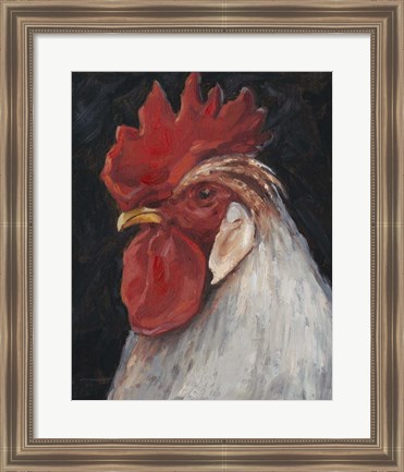 Framed Rooster Portrait II Print