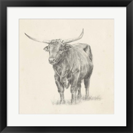 Framed Longhorn Steer Sketch I Print