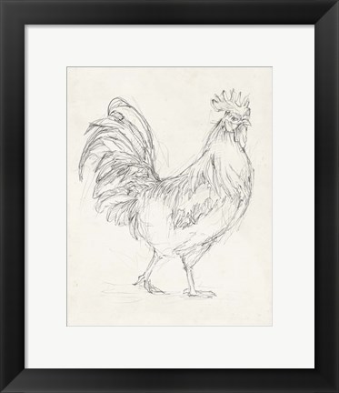 Framed Rooster Sketch I Print