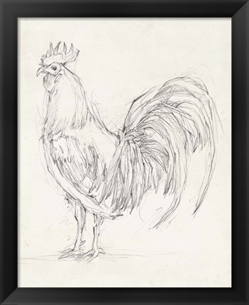 Framed Rooster Sketch II Print